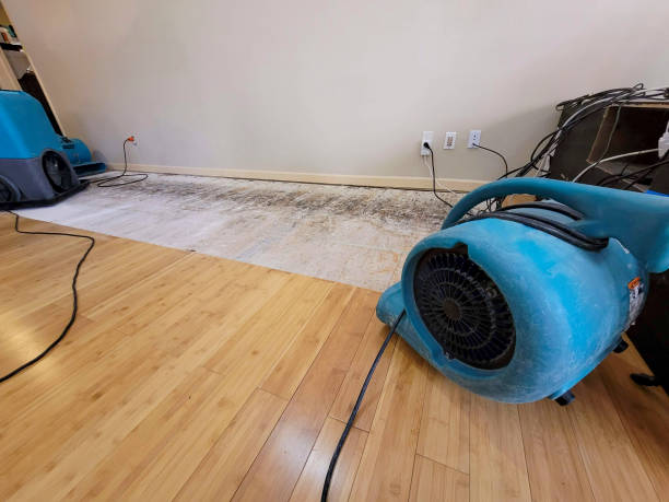 Professional Sewage Cleanup technician working in Terre Hill, PA